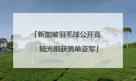 新加坡羽毛球公开赛：陆光祖获男单亚军
