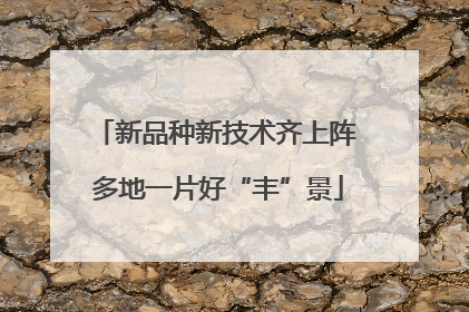 新品种新技术齐上阵 多地一片好“丰”景