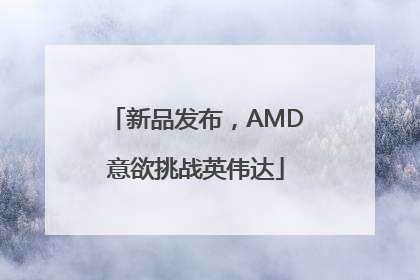 新品发布，AMD意欲挑战英伟达