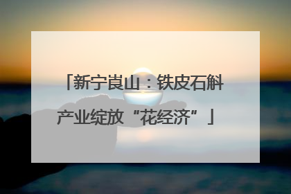 新宁崀山：铁皮石斛产业绽放“花经济”