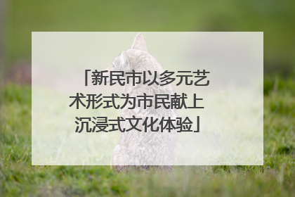 新民市以多元艺术形式为市民献上沉浸式文化体验