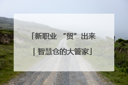 新职业 “贸”出来｜智慧仓的大管家