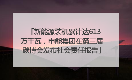 新能源装机累计达613万千瓦，申能集团在第三届碳博会发布社会责任报告