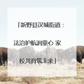 新野县汉城街道：法治护航润童心 家校共育筑未来