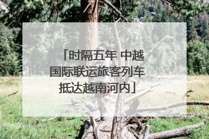 时隔五年 中越国际联运旅客列车抵达越南河内