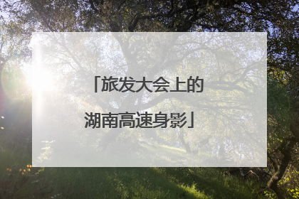 旅发大会上的湖南高速身影