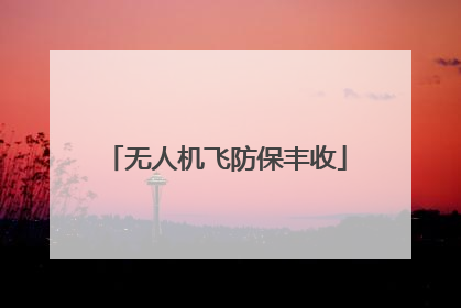无人机飞防保丰收