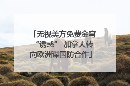 无视美方免费金穹“诱惑” 加拿大转向欧洲谋国防合作