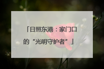 日照东港：家门口的“光明守护者”