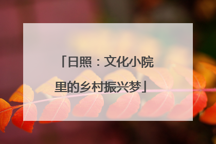 日照：文化小院里的乡村振兴梦