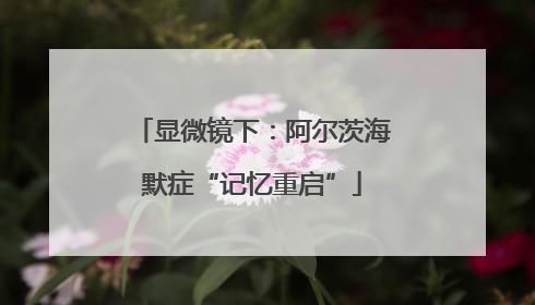 显微镜下：阿尔茨海默症“记忆重启”