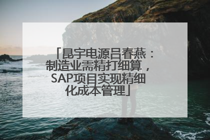 昆宇电源吕春燕：制造业需精打细算，SAP项目实现精细化成本管理