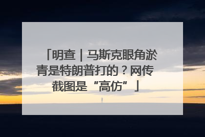明查｜马斯克眼角淤青是特朗普打的？网传截图是“高仿”