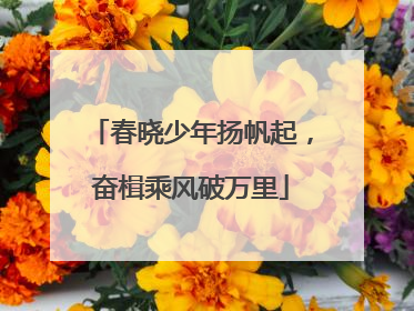 春晓少年扬帆起，奋楫乘风破万里