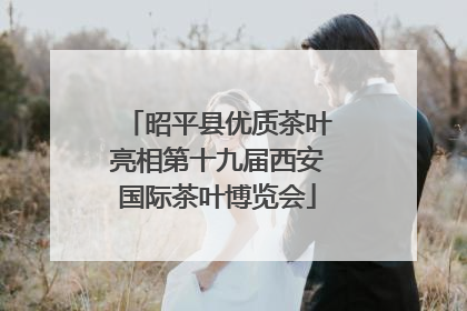昭平县优质茶叶亮相第十九届西安国际茶叶博览会