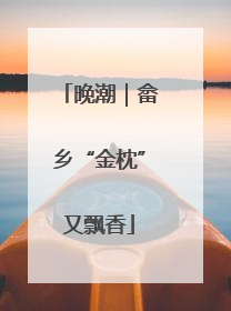 晚潮｜畲乡“金枕”又飘香