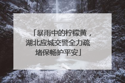 暴雨中的柠檬黄，湖北应城交警全力疏堵保畅护平安