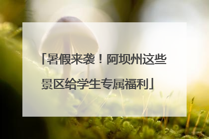 暑假来袭！阿坝州这些景区给学生专属福利