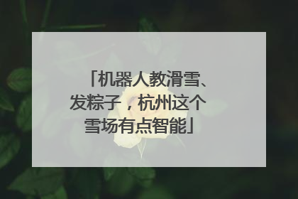 机器人教滑雪、发粽子，杭州这个雪场有点智能