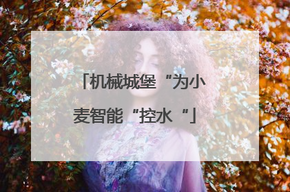 机械城堡“为小麦智能“控水“