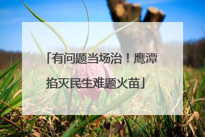 有问题当场治！鹰潭掐灭民生难题火苗