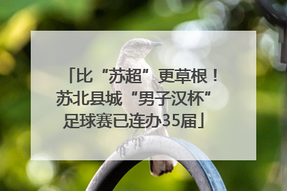 比“苏超”更草根！苏北县城“男子汉杯”足球赛已连办35届