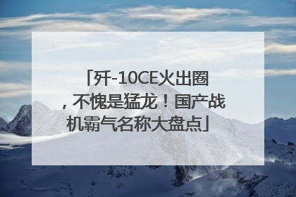 歼-10CE火出圈，不愧是猛龙！国产战机霸气名称大盘点