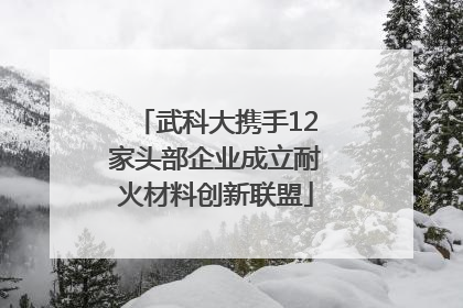 武科大携手12家头部企业成立耐火材料创新联盟