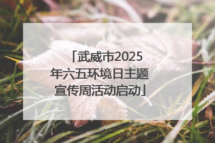 武威市2025年六五环境日主题宣传周活动启动