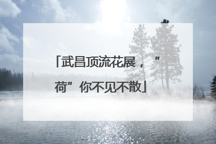 武昌顶流花展，“荷”你不见不散