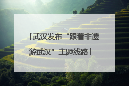 武汉发布“跟着非遗游武汉”主题线路