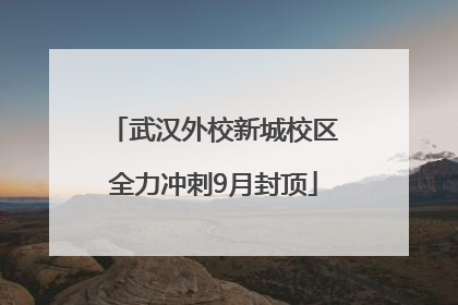 武汉外校新城校区全力冲刺9月封顶
