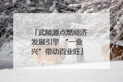武陵源点燃经济发展引擎 “一业兴”带动百业旺
