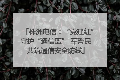 株洲电信：“党建红”守护“通信蓝” 军警民共筑通信安全防线