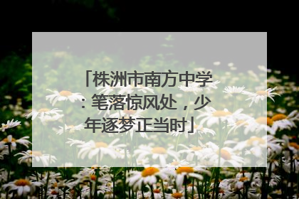 株洲市南方中学：笔落惊风处，少年逐梦正当时