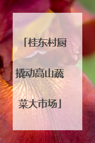 桂东村厨撬动高山蔬菜大市场
