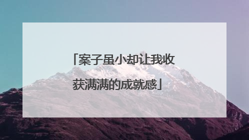 案子虽小却让我收获满满的成就感