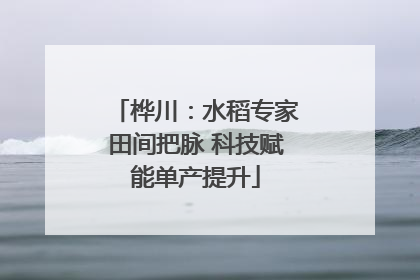 桦川：水稻专家田间把脉 科技赋能单产提升