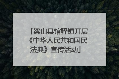 梁山县馆驿镇开展《中华人民共和国民法典》宣传活动