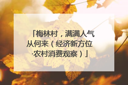 梅林村，满满人气从何来（经济新方位·农村消费观察）