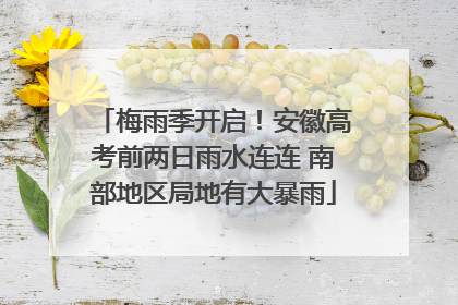 梅雨季开启！安徽高考前两日雨水连连 南部地区局地有大暴雨