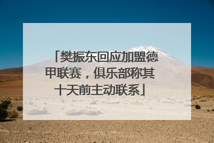 樊振东回应加盟德甲联赛，俱乐部称其十天前主动联系