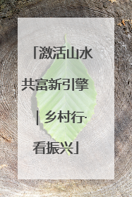 激活山水共富新引擎｜乡村行·看振兴