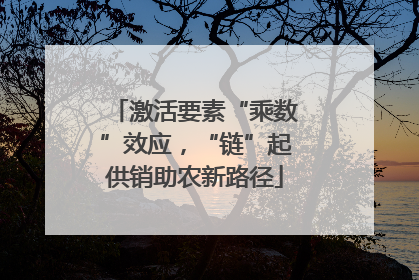 激活要素“乘数”效应，“链”起供销助农新路径