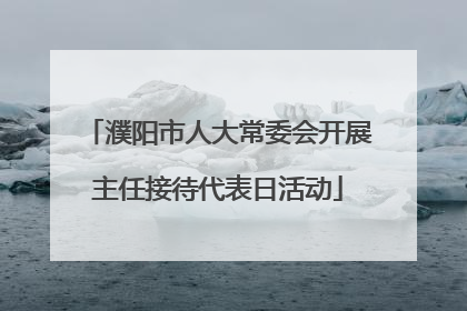 濮阳市人大常委会开展主任接待代表日活动