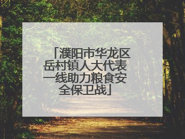 濮阳市华龙区岳村镇人大代表一线助力粮食安全保卫战
