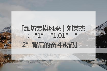 潍坊劳模风采｜刘英杰：“1”“1.01”“2”背后的奋斗密码