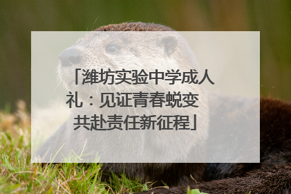 潍坊实验中学成人礼：见证青春蜕变 共赴责任新征程
