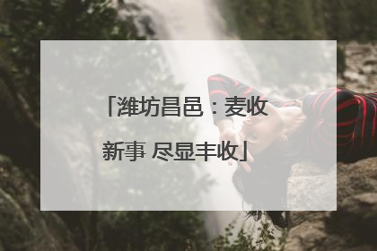 潍坊昌邑：麦收新事 尽显丰收