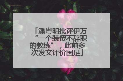 潘粤明批评伊万“一个装傻不辞职的教练”，此前多次发文评价国足